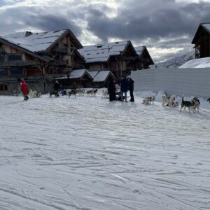 Ils ne demandaient qu'à partir !